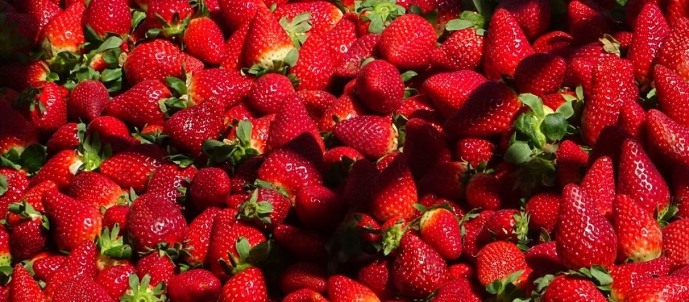 Αυτά είναι τα οφέλη που έχουν οι φράουλες - Κίνδυνοι και προφυλάξεις